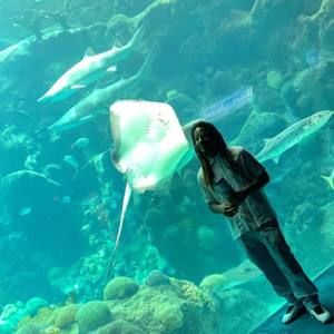 Meet your Posher, Mark